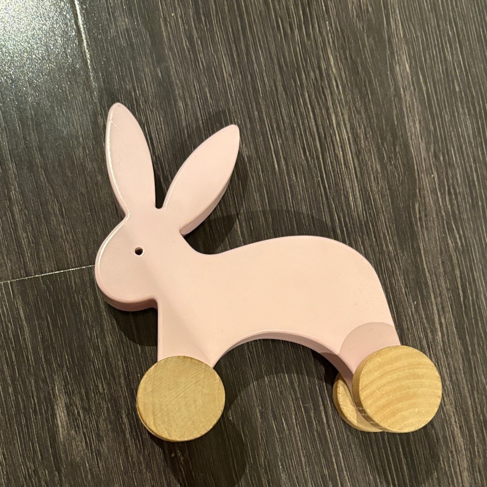Dwell Studio Wood Push Toy Bunny Rabbit Pink Baby